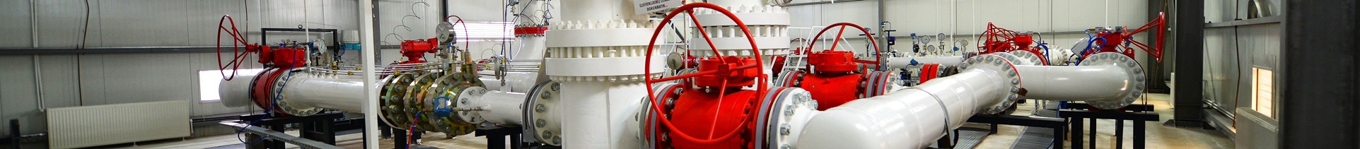 Ticaret Sicil No ve Ödenmiş Sermaye